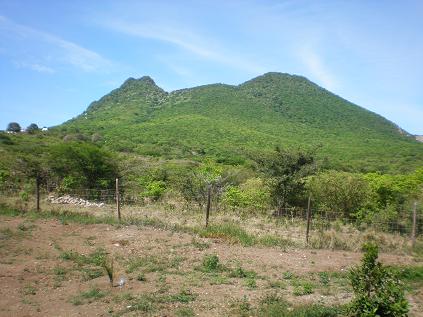 Land in St. Eustatius for Sale - Prime property available residential development