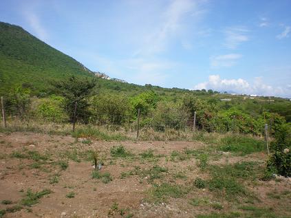Hillside view from property with The Quill to the left
